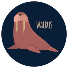 Walrus Icon On Dark Background Sticker