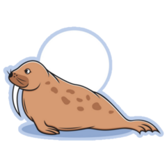 Walrus Illustration Moon Sticker