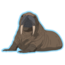 Walrus On Blue Sticker