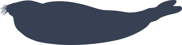 Walrus Sliding Sticker