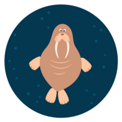 Walrus Swimming Circle Sticker