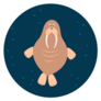 Walrus Swimming Circle Sticker