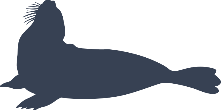 Walrus With Head Pointed Up Sticker