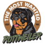 Wanted Rottweiler Sticker
