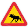 Warning For Moose Road Sign Sticker