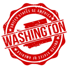 Washington America Original Stamp In Red Sticker