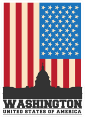 Washington DC And US Flag Sticker