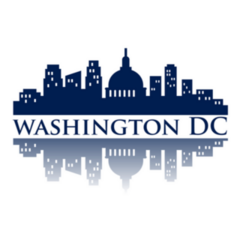 Washington Dc Silhouette City Lettering Logo Sticker