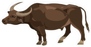 Water Buffalo Cartoon Sticker