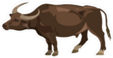 Water Buffalo Cartoon Sticker