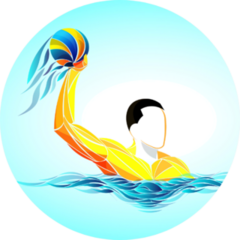Water Polo Ball Colorful Sticker