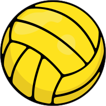 Water Polo Ball Printed Full Color Sticker