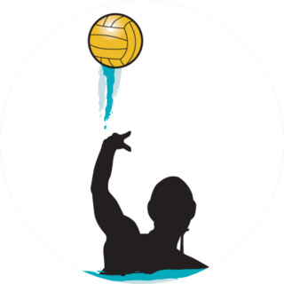 Water Polo Silhouette Illustration Sticker