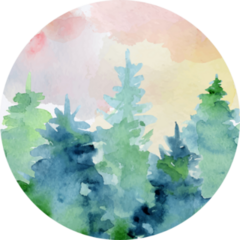 Watercolor Abstract Woddland, Fir Trees Silhouette Sticker