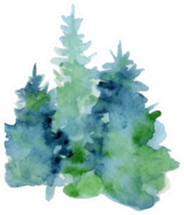 Watercolor Abstract Woodland Fir Trees Silhouette Sticker