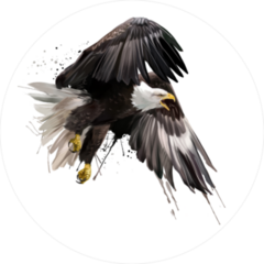Watercolor American Eagle Flying Sticker
