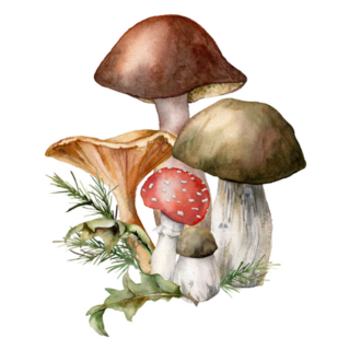 Watercolor Autumn Composition With Mushrooms Sticker