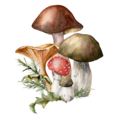 Watercolor Autumn Composition With Mushrooms Sticker