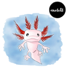 Watercolor Axolotl Text Sticker
