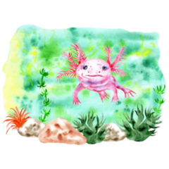 Watercolor Axolotl Underwater Sticker