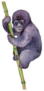 Watercolor Baby Mountain Gorilla Illustration Sticker