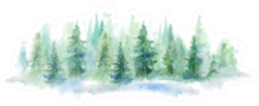 Watercolor Background Drawn Landscape Of Foggy Forest Sticker
