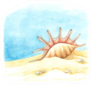 Watercolor Background With Large Shell Sticker