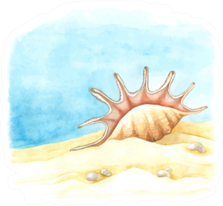 Watercolor Background With Large Shell Sticker