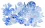 Watercolor Background With Seashells In Blue Sticker