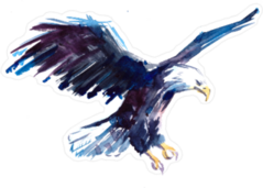 Watercolor Bald Eagle Sticker