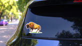 Watercolor Bison Buffalo Sticker on a Rear Car Window (New) example