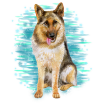 Watercolor Blue Shepherd Sticker