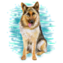 Watercolor Blue Shepherd Sticker