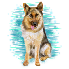 Watercolor Blue Shepherd Sticker