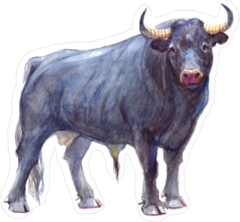 Watercolor Buffalo Sticker