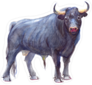 Watercolor Buffalo Sticker