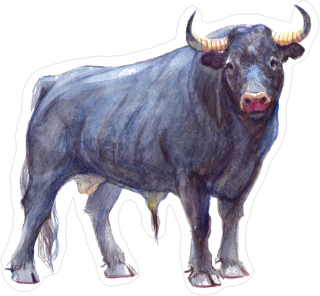 Watercolor Buffalo Sticker