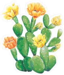 Watercolor Cactus and Yellow Flowers Sticker