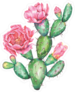 Watercolor Cactus With Beautiful Pink Flowers Sticker