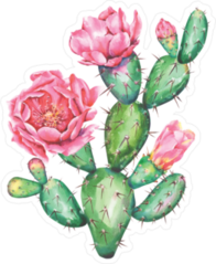 Watercolor Cactus With Beautiful Pink Flowers Sticker