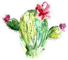 Watercolor Cactus With Flowers Sticker