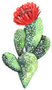 Watercolor Cactus with Red Flower Sticker