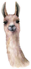 Watercolor Card With Llama Head Sticker