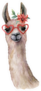 Watercolor Card With Llama Wearing Sunglasses Sticker