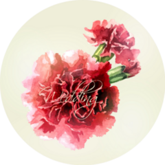 Watercolor Carnations On Light Background Sticker