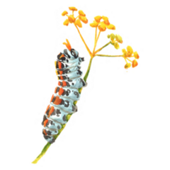 Watercolor Caterpillar On Flower Sticker