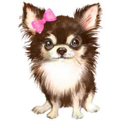 Watercolor Chihuahua With Bow Sticker