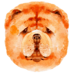 Watercolor Chow Face Sticker