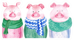Watercolor Collection Of Pigs In Sweater Sticker