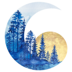 Watercolor Composition Of Moon Forest Landscape Sticker